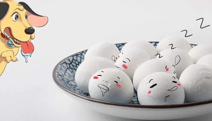 过小年吃什么传统美食 小年饮食习俗有哪些