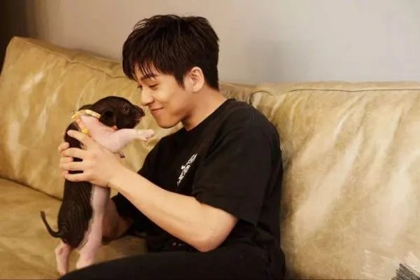 湖南卫视《恋梦空间》有主题曲吗？