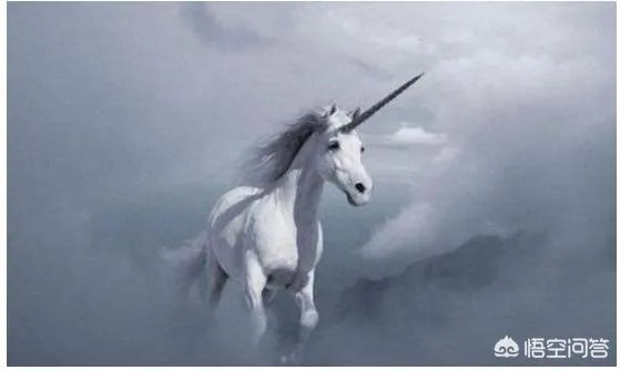 独角兽企业IPO“即报即审”，什么是独角兽？