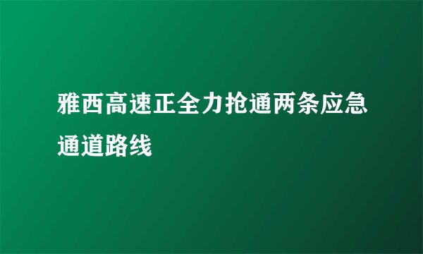 雅西高速正全力抢通两条应急通道路线