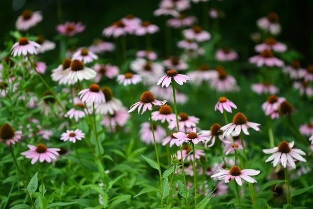 【每日摄影】8699元的尼康Z5全画幅微单相机值得买吗？