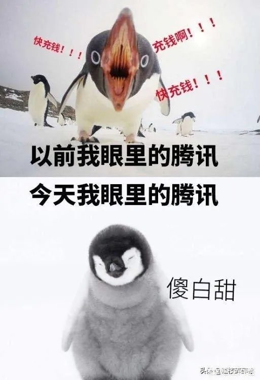 老干妈和腾讯的问题,是怎么回事儿?