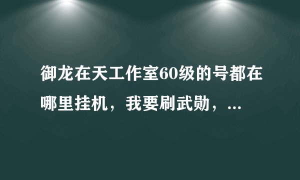 御龙在天工作室60级的号都在哪里挂机，我要刷武勋，护国市和狗娃不好耍，人太少了
