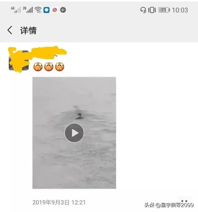 前几天出现的“三峡水怪”是什么,会是未知的生物吗?