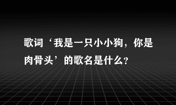 歌词‘我是一只小小狗，你是肉骨头’的歌名是什么？