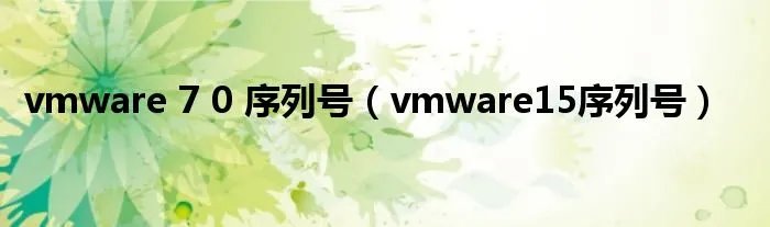 vmware 7 0 序列号（vmware15序列号）