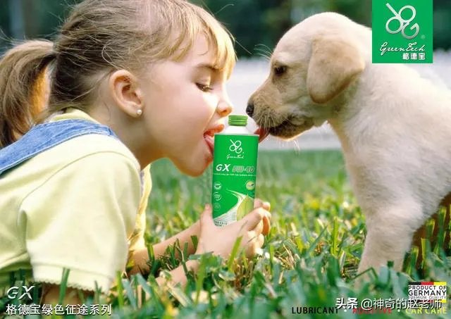 有车以后的生活