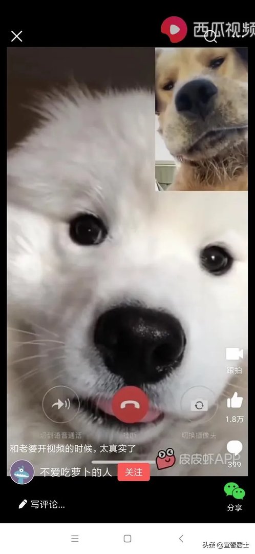 什么是移轴摄影？移轴摄影怎么拍？