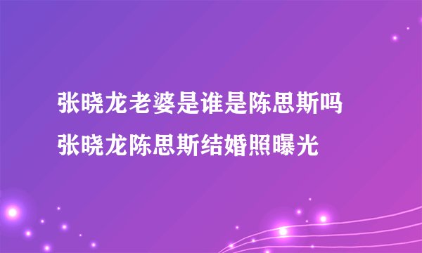 张晓龙老婆是谁是陈思斯吗 张晓龙陈思斯结婚照曝光