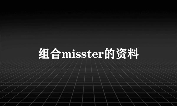 组合misster的资料