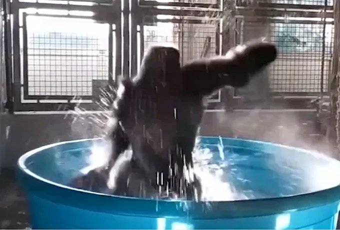 “物竞天择．适者生存”是什么意思