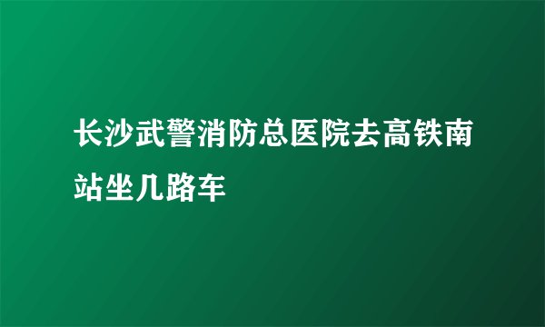 长沙武警消防总医院去高铁南站坐几路车
