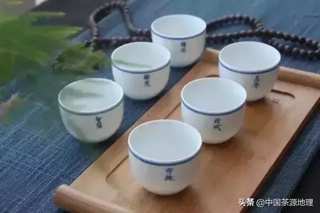 茶杯分类?