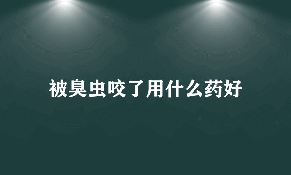 被臭虫咬了用什么药好
