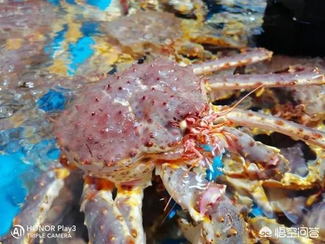 荣耀Play3拍照怎么样？是4800万像素吗？