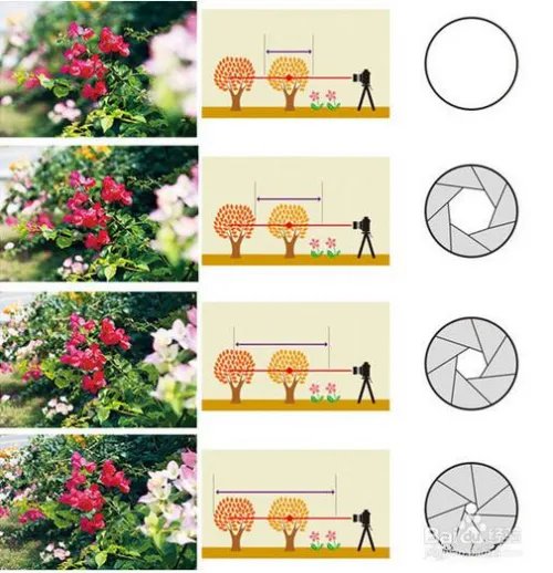 李易峰使用的OPPO R9s清新绿怎么样？