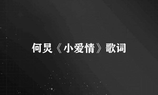 何炅《小爱情》歌词