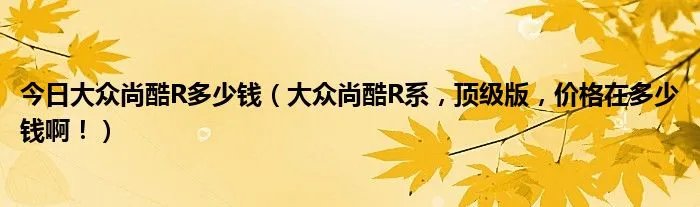 今日大众尚酷R多少钱（大众尚酷R系，顶级版，价格在多少钱啊！）