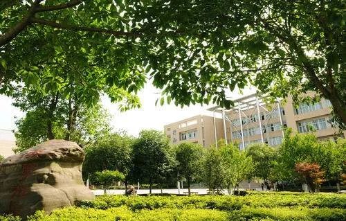 西南师范大学2019提前批在山东省录取分数线