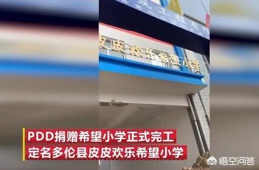 如何看待PDD援建的「皮皮欢乐希望小学」?