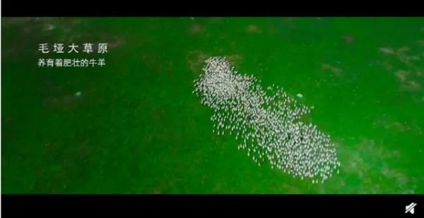 丁真和检察官拍了支公益宣传片，这支宣传片体现了哪些内容？