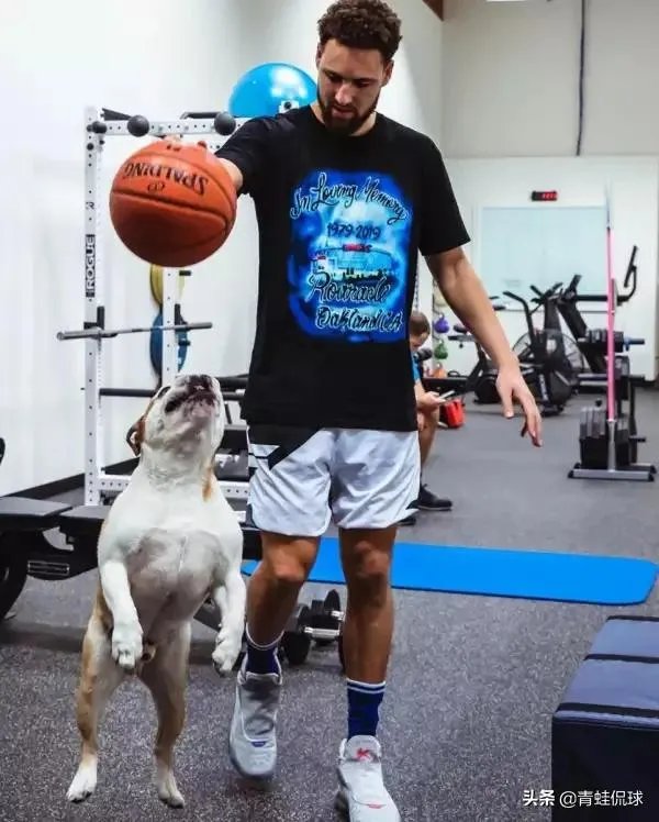 库里和克莱的伤势都怎么样了,什么时候可以打比赛?