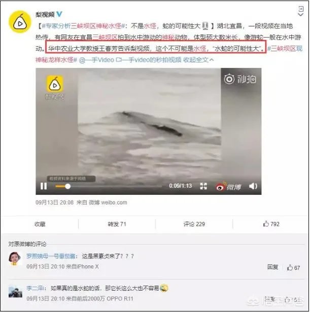 前几天出现的“三峡水怪”是什么,会是未知的生物吗?