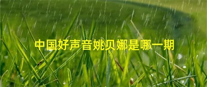 中国好声音姚贝娜是哪一期