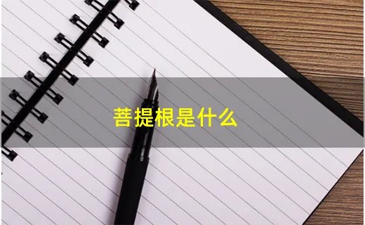 菩提根是什么