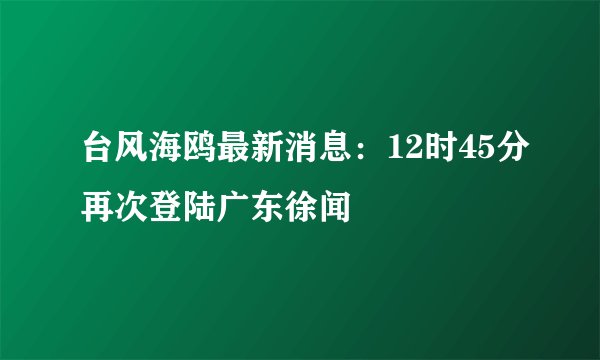 台风海鸥最新消息：12时45分再次登陆广东徐闻
