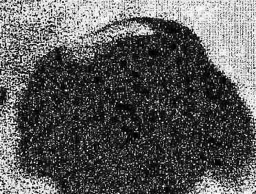 铸造石墨粉的简介