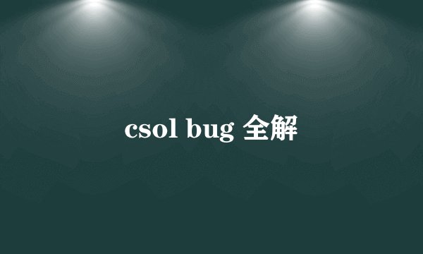 csol bug 全解