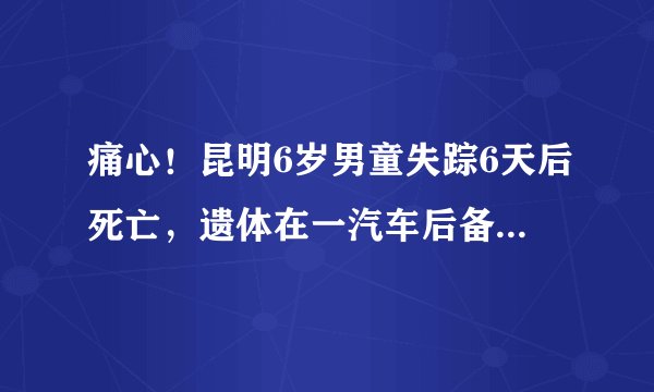 痛心！昆明6岁男童失踪6天后死亡，遗体在一汽车后备箱内被发现, 你怎么看？