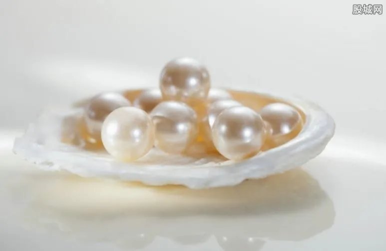 椰子螺吐出美乐珠 专家鉴定价值10万元