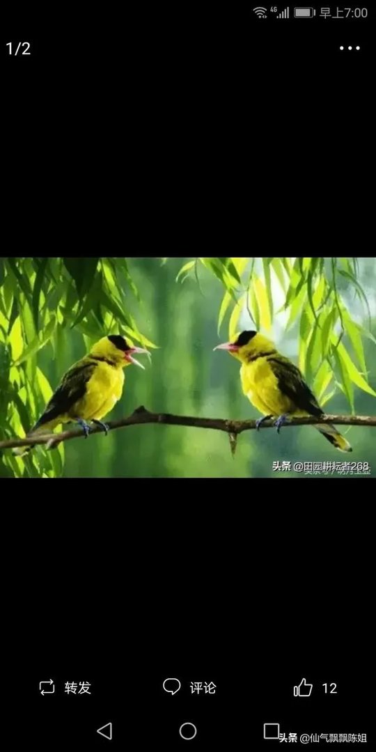 征婚交友的app手机软件,有哪些比较真实一些?