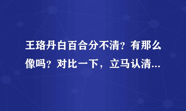 王珞丹白百合分不清？有那么像吗？对比一下，立马认清她们谁是谁