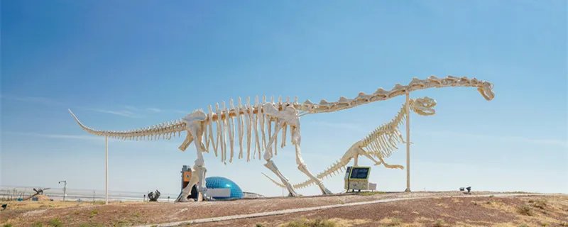 恐龙化石怎么形成的 恐龙化石怎样形成的