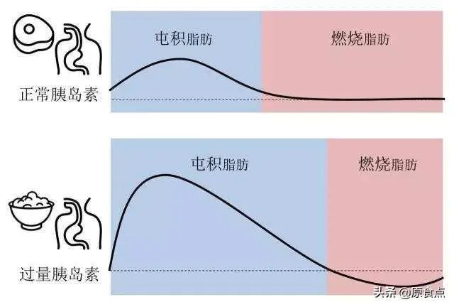 食物中的油脂进入人体后，会直接转换成人体的脂肪储存起来吗？