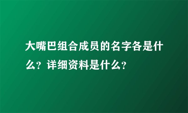 大嘴巴组合成员的名字各是什么？详细资料是什么？