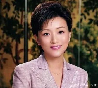 杨澜的老公是谁