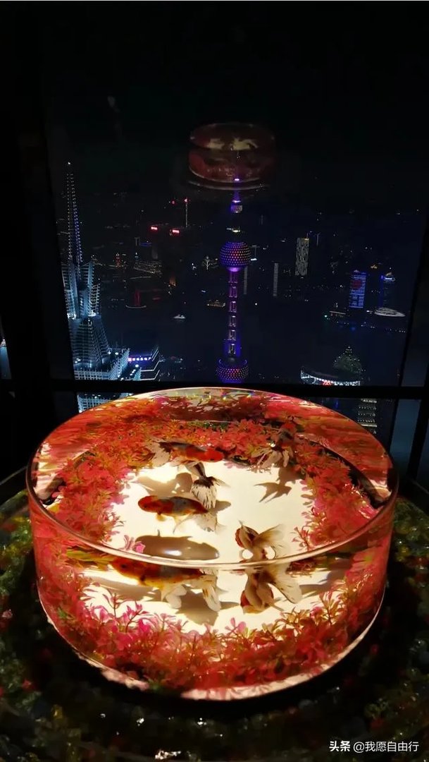 上海环球金融中心观光天阁好玩不？