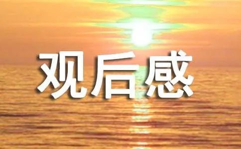 《三国志之见龙卸甲》观后感