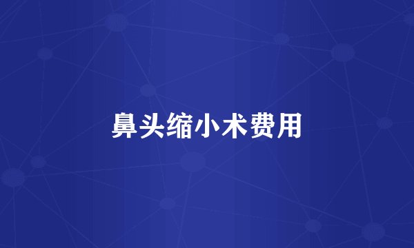 鼻头缩小术费用