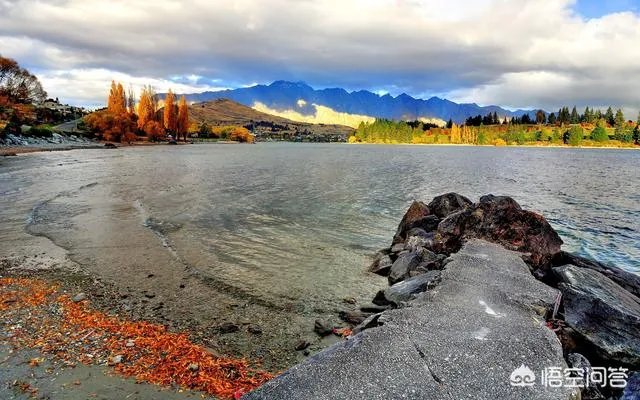 戴安娜王妃简介？