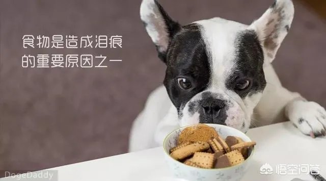 狗狗泪痕怎么解决?