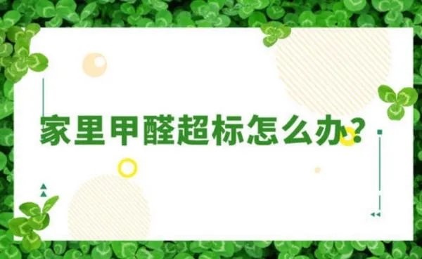 装了新房找除甲醛什么的公司来治理一下有用吗？