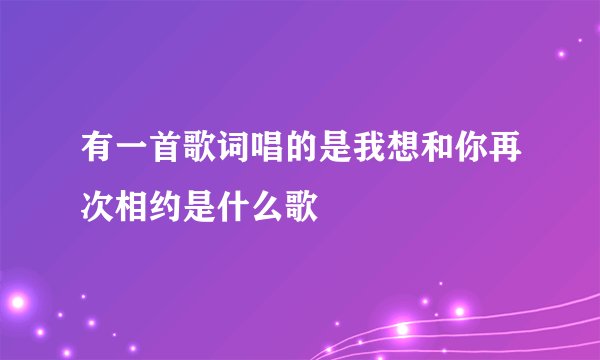 有一首歌词唱的是我想和你再次相约是什么歌