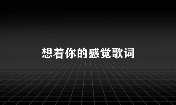 想着你的感觉歌词