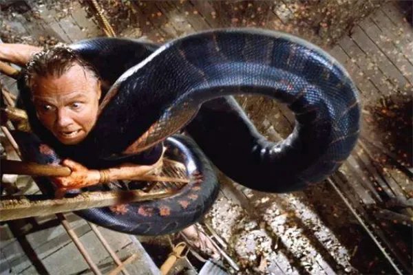 蟒蛇电影十大排行榜 好看的蟒蛇电影有哪些