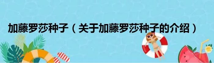 加藤罗莎种子（关于加藤罗莎种子的介绍）